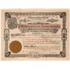Image 1 : Bullfrog Pedestal Mining Co. Stock, Nevada 1905  #110030
