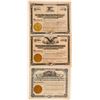 Image 1 : Three Different Lige Harris Bullfrog Mining Stock Certificates  #101582