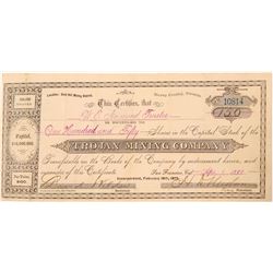 Trojan Mining Company Stock Certificate  #91545
