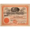 Image 1 : Goldfield Treasure Mining Company Stock Certificate  #110046