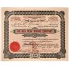 Image 1 : Red Peak Mining Co. Stock, Goldfield, Nevada, 1907  #110047