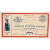 Image 1 : American Standard Company Stock  #86768