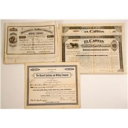 New Mexico Stocks  #79977