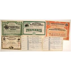 Stock Certs. (4) & Unissued Checks  #86830