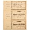 Image 1 : Republican Valley and Wyoming Railroad Company Stock Certificates  #81050