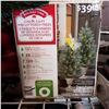 Image 2 : 2 CHRISTMAS TREES AND 3 STANDS