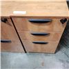 Image 3 : 2 ROLLING FILE STORAGE CABINETS