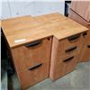 Image 1 : 2 ROLLING FILE STORAGE CABINETS