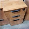 Image 3 : 2 ROLLING FILE STORAGE CABINETS
