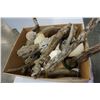 Image 2 : BOX OF DRIFTWOOD AND SEASHELLS