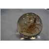 Image 2 : SCORPION IN LUCITE SPHERE