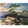 Image 1 : AY Jackson's "White Pine" Canvas Reproduction