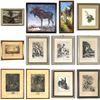 Image 1 : Set of 12 Pieces of Framed Art