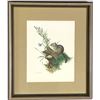 Image 2 : Set of 12 Pieces of Framed Art