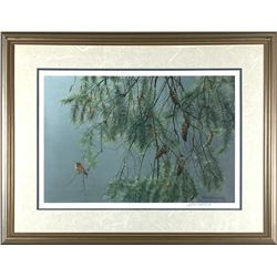 Robert Bateman's  Douglas Fir and Rufous Hummingbi