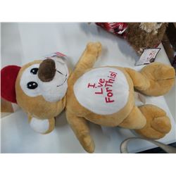 Cardinals Bear