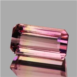 Natural Sweet Pink Tourmaline {Flawless-VVS1}