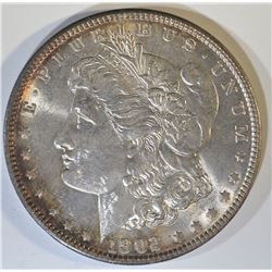 1902 MORGAN DOLLAR  GEM BU  NICE