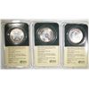 Image 2 : 3-1999 BU AMERICAN SILVER EAGLES IN PLASTIC