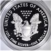 Image 4 : 2012 & 13 PROOF AMERICAN SILVER EAGLES BOXES/COA