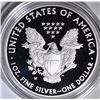 Image 4 : 2008 & 10 Pf AMERICAN SILVER EAGLES BOXES/COA