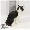 Image 1 : NEW BLACK AND WHITE CAT FIGURE