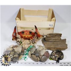WOODEN BOX WITH PETRIFIED WOOD, LARGE CRAB AND