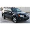 Image 9 : 2008 FORD ESCAPE XLT