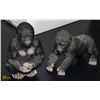 Image 1 : NEW LOT OF 2 GORILLA FIGURES TOE IS CHIPPED ON ONE