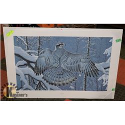 BOREAL "GHOST" PRINT 113/500 RANDY FEHR.