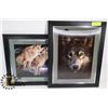 Image 1 : LOT OF 2 WOLF 3D PICTURES