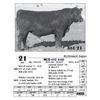 Image 1 : Lot  21 - MCD 67C 8120