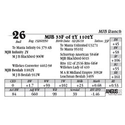 Lot  26 - MJB 33F of 2Y 1102Y