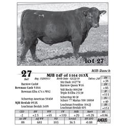 Lot  27 - MJB 24F of 5164 053X
