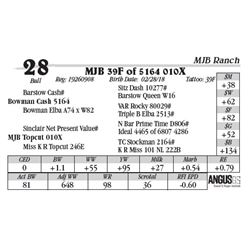 Lot  28 - MJB 39F of 5164 010X
