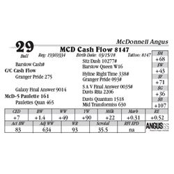 Lot  29 - MCD Cash Flow 8147