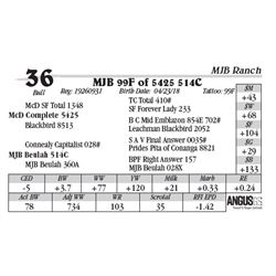 Lot  36 - MJB 99F of 5425 514C