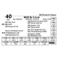 Lot  40 - MCD Dr J 8148