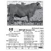 Image 1 : Lot  52 - MCD QV Answer 892