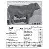 Image 1 : Lot  60 - MCD Juneau 8116