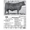 Image 1 : Lot  70 - McD Swagger 8516