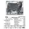 Image 1 : Lot  71 - McD Swagger 8168