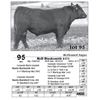 Image 1 : Lot  95 - McD Blacksmith 8171