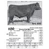 Image 1 : Lot  100 - Frosty Crk DR J 859