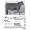 Image 1 : Lot  105 - McD Dr J 8529