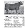 Image 1 : Lot  118 - Frosty Crk F A 825