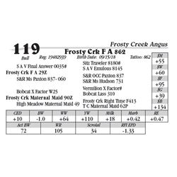 Lot  119 - Frosty Crk F A 862