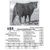 Image 1 : Lot  123 - Frosty Crk Bruiser 826