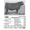 Image 1 : Lot  130 - McD Acclaim 8173