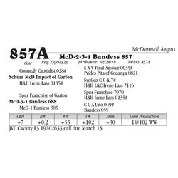 Lot  857A - McD-2-3-1 Bandess 857